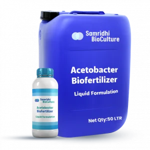Acetobacter Bio Fertilizer Liquid Formulation