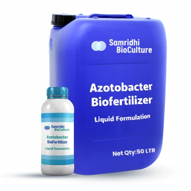 Azotobacter Bio Fertilizer Liquid Formulation