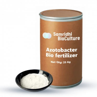 Azotobacter Bio Fertilizer Water Insoluble Formulation