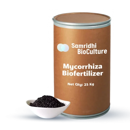 Mycorrhiza Bio Fertilizer Water Soluble Formulation