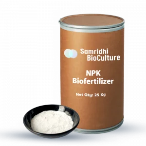 NPK Bio Fertilizer Water Insoluble Formulation