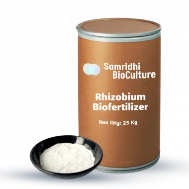 Rhizobium Bio Fertilizer Water Soluble Formulation