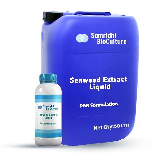 Seaweed Extract Liquid PGR Formulation