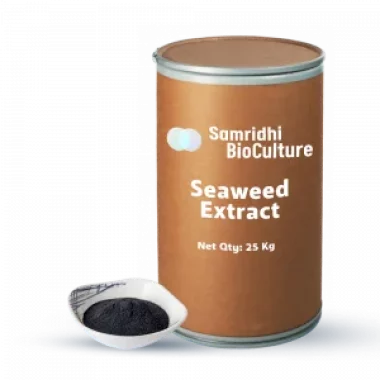 Seaweed Extract Powder